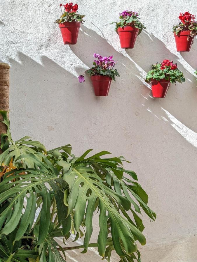Harbor Getaway In The Heart Of Puerto Banus With Walking Dictance To Everything マルベーリャ エクステリア 写真