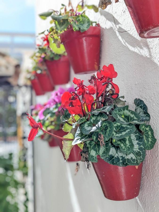 Harbor Getaway In The Heart Of Puerto Banus With Walking Dictance To Everything マルベーリャ エクステリア 写真